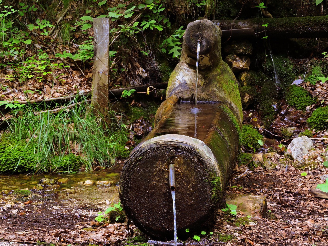 Pozze calde naturali nel bosco della Val Ridanna, perfette per relax tutto l'anno.