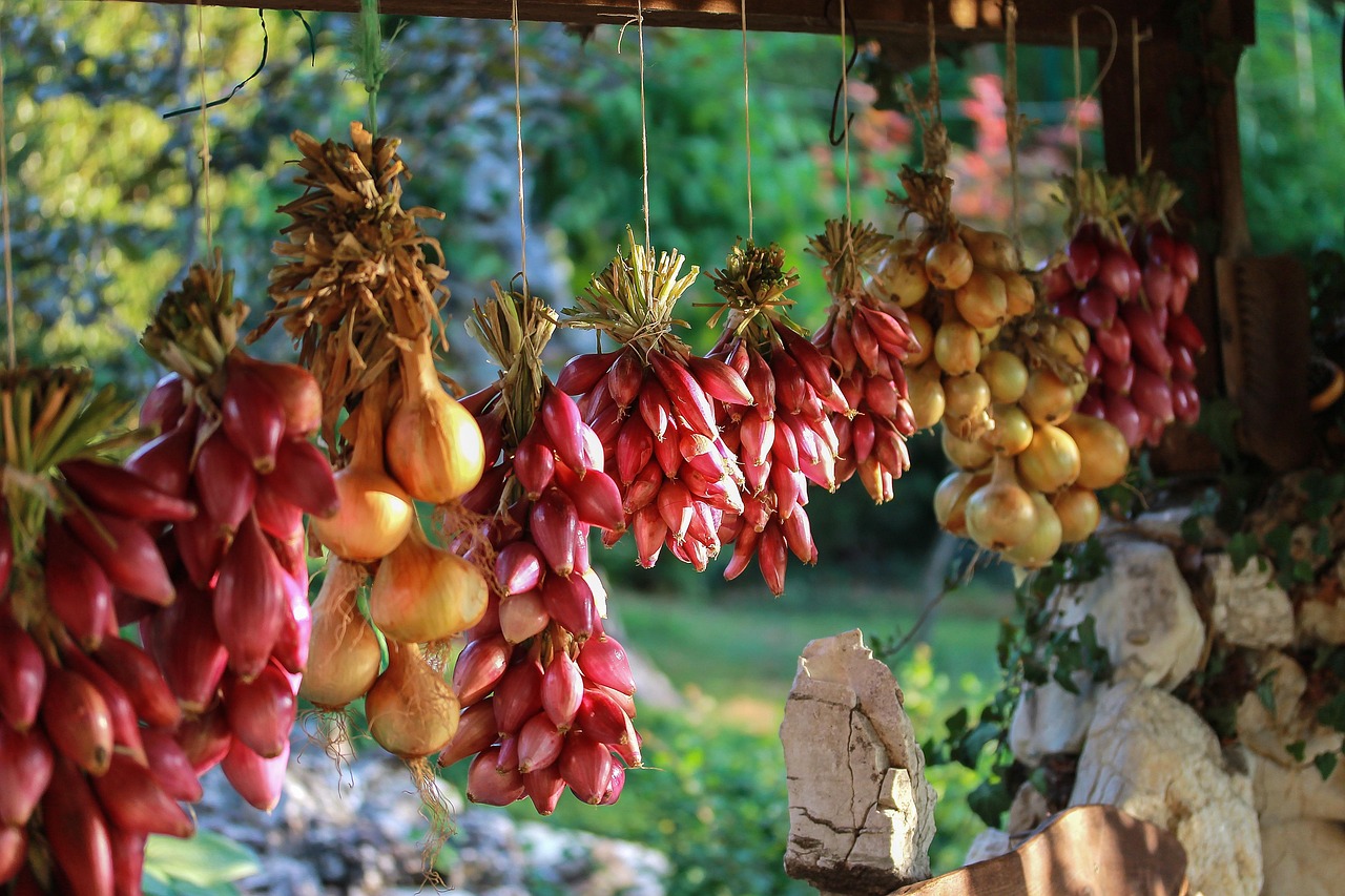 Borgo di Tropea con cipolle rosse fresche in primo piano, paesaggio mediterraneo sullo sfondo.