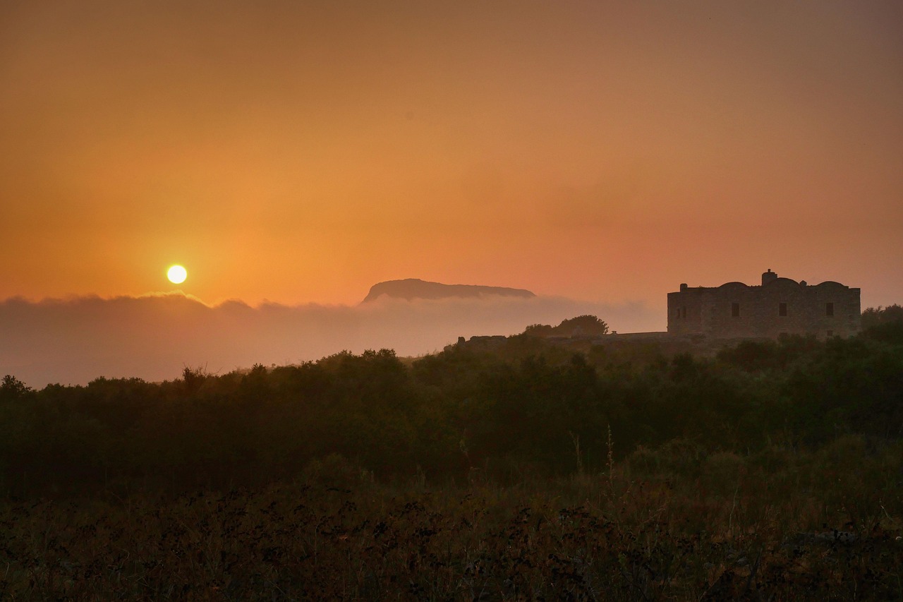 Vista panoramica di Pantelleria con capperi dolci in primo piano e mare blu sullo sfondo.