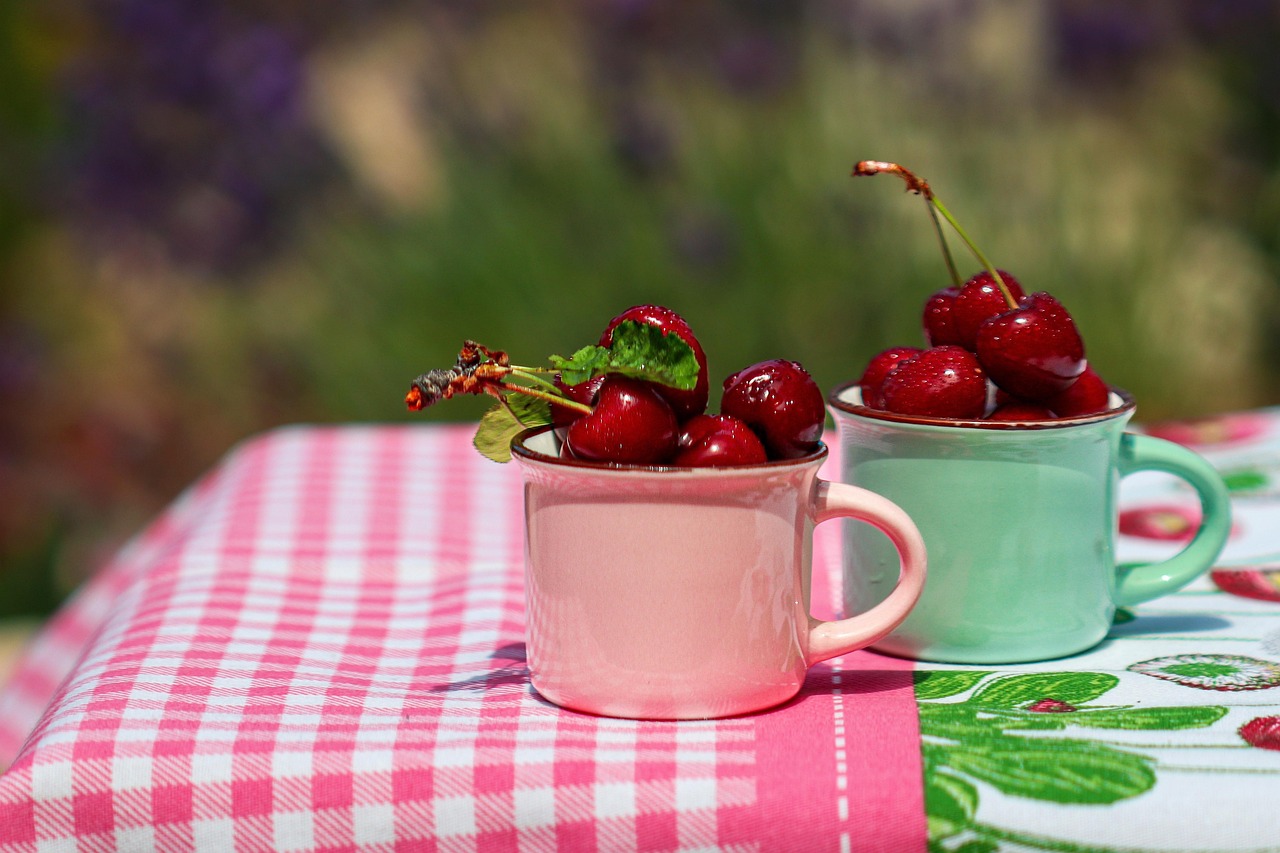Festa della ciliegia a Roccamonfina, visitatori festosi tra bancarelle e ciliegie fresche.