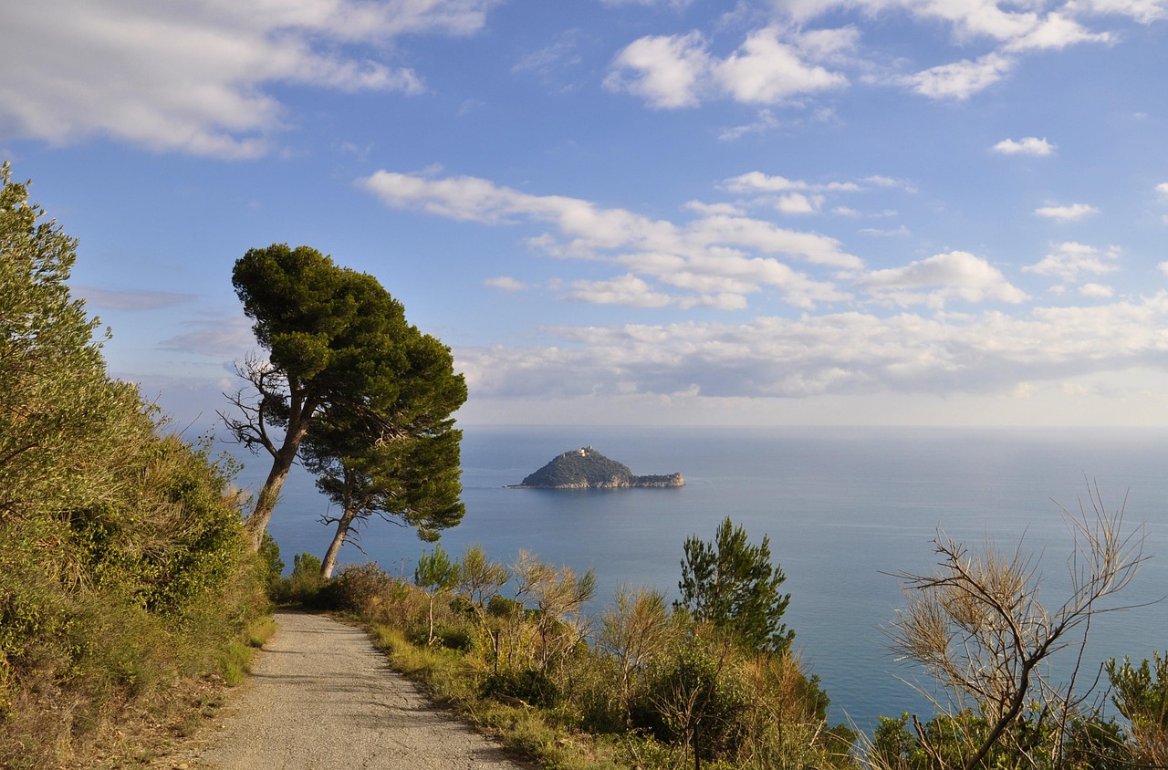 Sentiero in Liguria con vista panoramica sul mare, circondato da vegetazione lussureggiante.