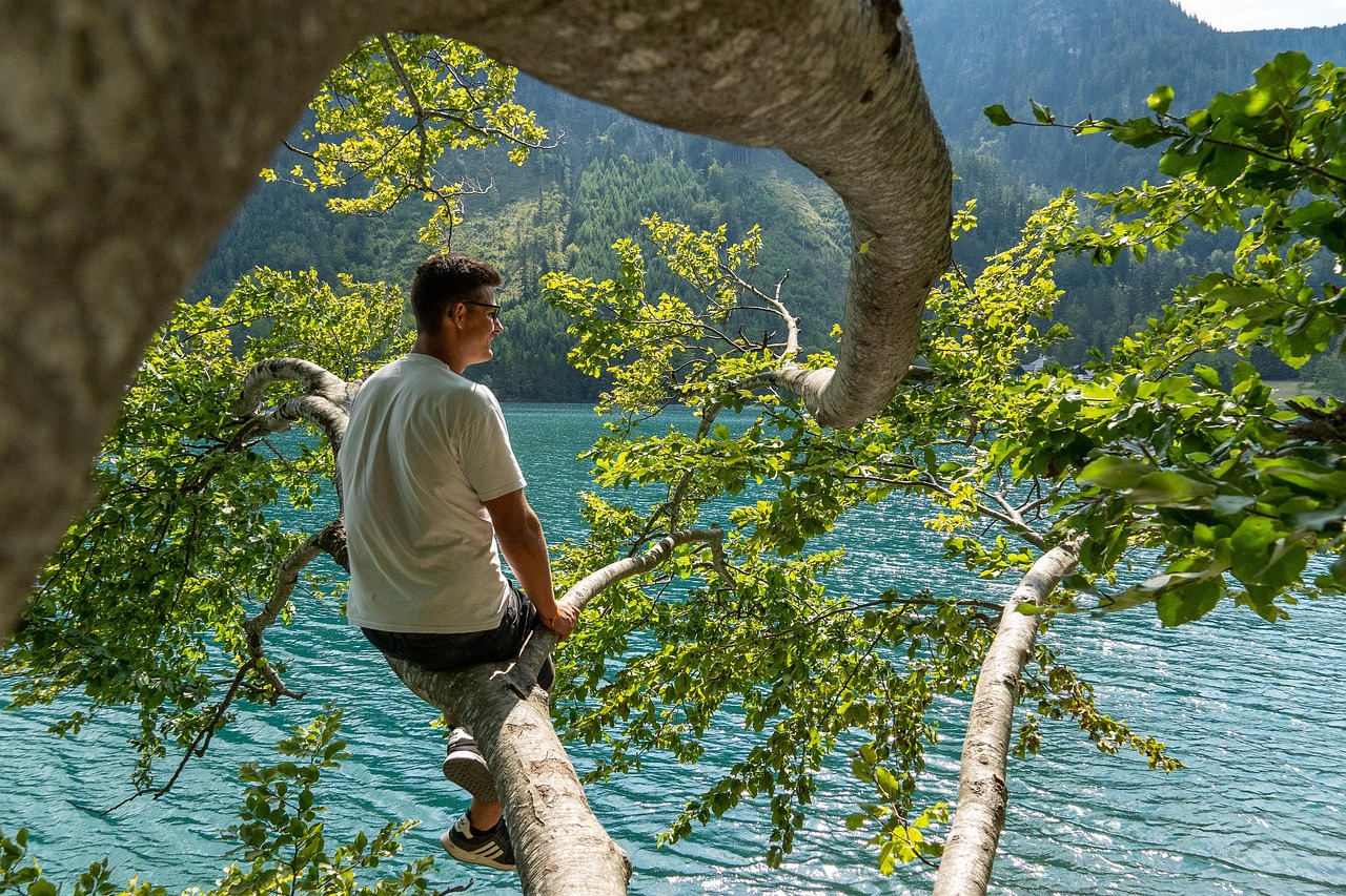 Vista panoramica del lago di Molveno con sentieri immersi nella natura circostante.