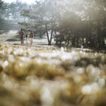 Grafico che mostra le migliori assicurazioni sulla vita del 2026.